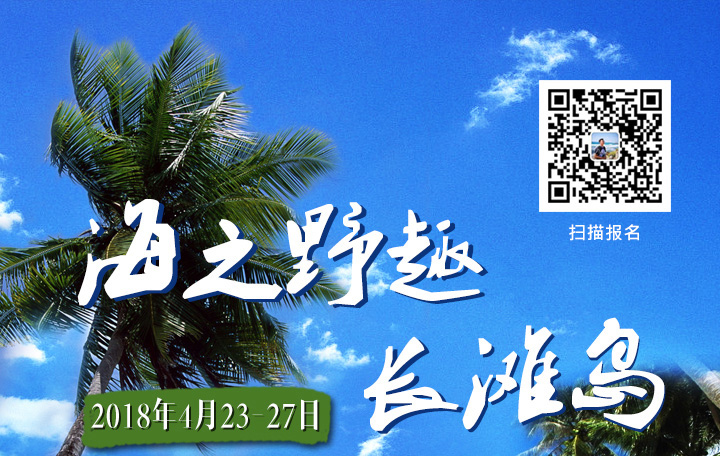 [Laogao E-commerce Tour Group] The wild interest of the sea—Boracay_Premiere Network