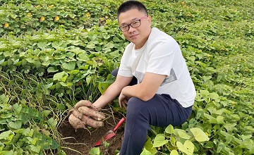 I spent the weekend digging sweet potatoes with my children and realized 11 true entrepreneurship scriptures, which are a must-read for bosses!