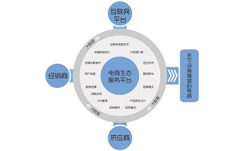 What is the e-commerce category? What is category operation?