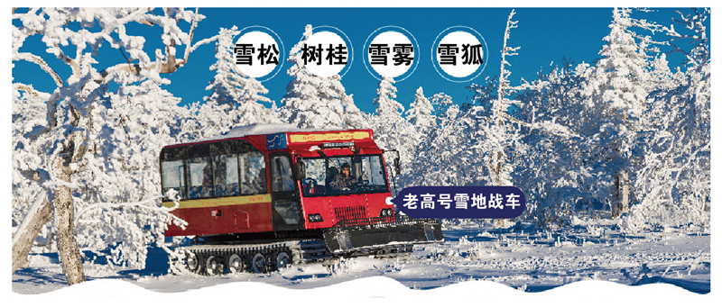 QQ screenshot 20161107090103_Copy.png