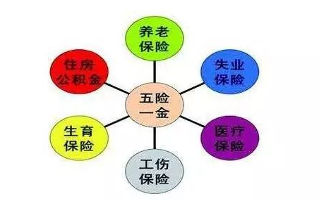 Five insurances and one fund Five insurances and one fund