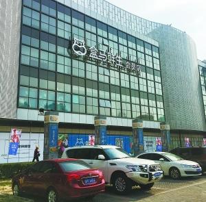 The Myth and Ordinary of Hema Fresh: The problem of queuing for freshness is difficult to solve The Myth and Ordinary of Hema Fresh: The problem of queuing for freshness is difficult to solve
