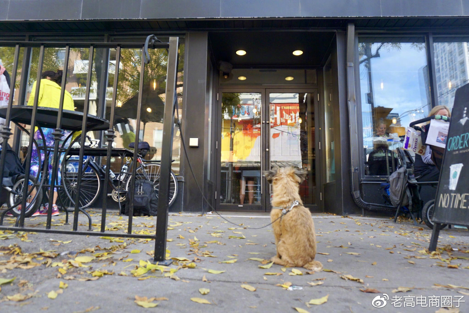 Laogao E-commerce Newsletter on November 20 Laogao E-commerce Newsletter on November 20