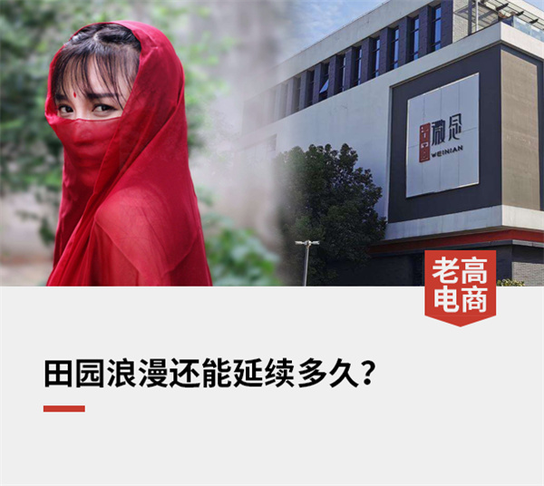 E-commerce anchor Li Ziqi