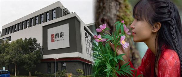 E-commerce anchor Li Ziqi