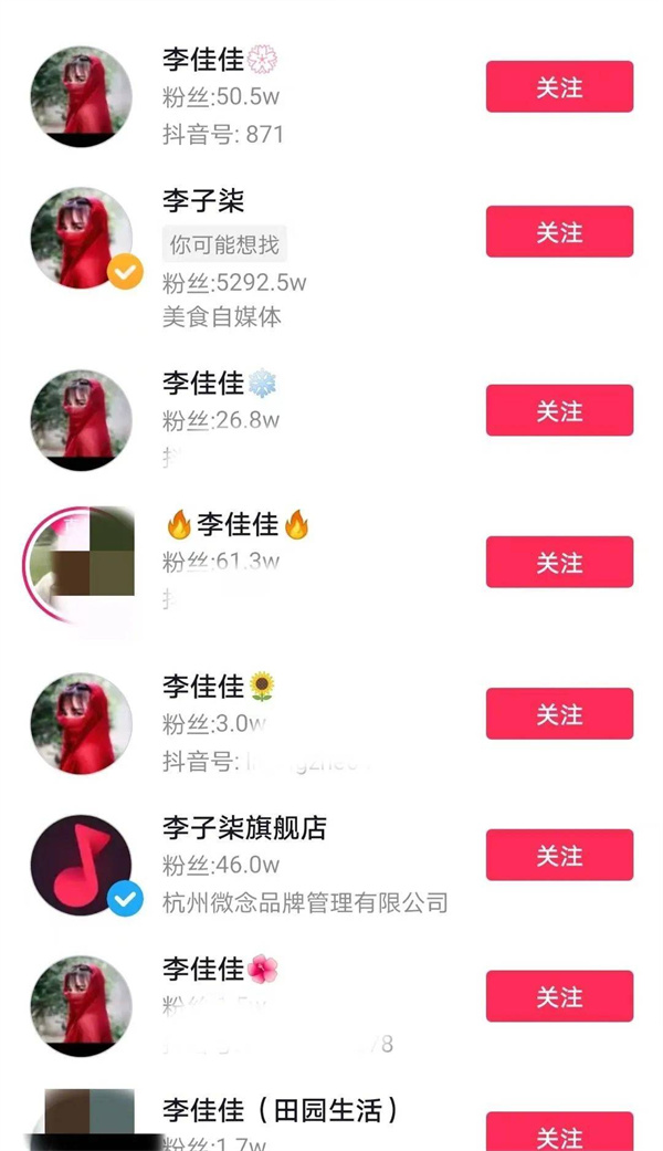 E-commerce anchor Li Ziqi
