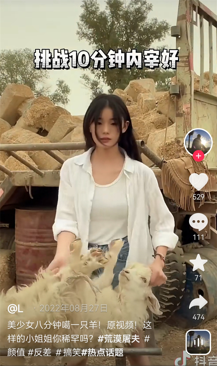 "A sheep in 8 minutes"